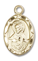 [0301SGF] 14kt Gold Filled Scapular Medal