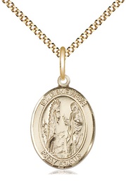 [8041GF/18G] 14kt Gold Filled Saint Genevieve Pendant on a 18 inch Gold Plate Light Curb chain