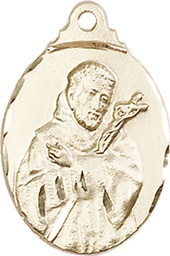 [0599FCGF] 14kt Gold Filled Saint Francis Medal