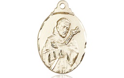 [0599FCGF] 14kt Gold Filled Saint Francis Medal