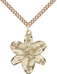 [0089GF/24GF] 14kt Gold Filled Chastity Pendant on a 24 inch Gold Filled Heavy Curb chain