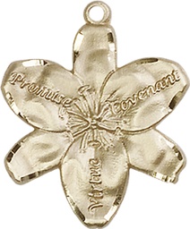[0089KT] 14kt Gold Chastity Medal