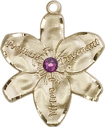[0089KT-STN2] 14kt Gold Chastity Medal with a 3mm Amethyst Swarovski stone
