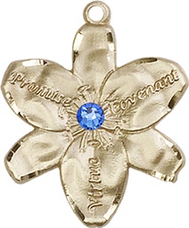 [0089KT-STN9] 14kt Gold Chastity Medal with a 3mm Sapphire Swarovski stone