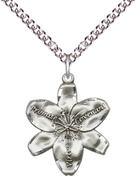 [0089SS/24SS] Sterling Silver Chastity Pendant on a 24 inch Sterling Silver Heavy Curb chain