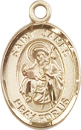 [9050KT] 14kt Gold Saint James the Greater Medal