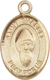 [9271KT] 14kt Gold Saint Sharbel Medal