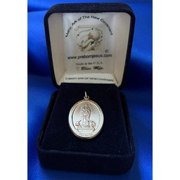 [PRE150-#2GFY] 14kt Gold Filled Mary, Ark of The New Covenant Medal - With Box