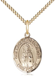 [8413GF/18G] 14kt Gold Filled Our Lady of Rosa Mystica Pendant on a 18 inch Gold Plate Light Curb chain