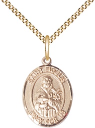 [8426GF/18G] 14kt Gold Filled Saint Fidelis Pendant on a 18 inch Gold Plate Light Curb chain
