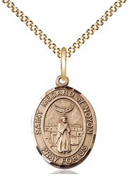[8444GF/18G] 14kt Gold Filled Saint Medard of Noyon Pendant on a 18 inch Gold Plate Light Curb chain