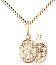 [9008GF/18G] 14kt Gold Filled Saint Benedict Pendant on a 18 inch Gold Plate Light Curb chain