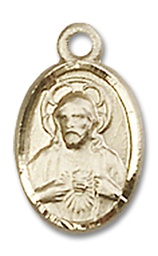 [0702SGF] 14kt Gold Filled Scapular Medal