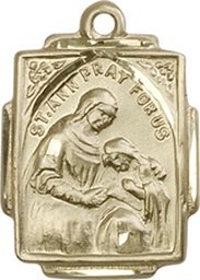 [0804AGF] 14kt Gold Filled Saint Ann Medal