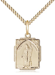 [0804PAGF/18G] 14kt Gold Filled Saint Patrick Pendant on a 18 inch Gold Plate Light Curb chain