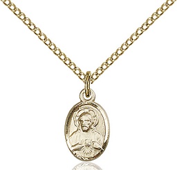 [0702SGF/18GF] 14kt Gold Filled Scapular Pendant on a 18 inch Gold Filled Light Curb chain