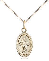 [4122SGF/18GF] 14kt Gold Filled Scapular Pendant on a 18 inch Gold Filled Light Curb chain