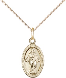 [4122SGF/18GF] 14kt Gold Filled Scapular Pendant on a 18 inch Gold Filled Light Curb chain