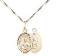[9098GF/18GF] 14kt Gold Filled Scapular Pendant on a 18 inch Gold Filled Light Curb chain