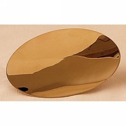 [388G] 5?" Scale Paten