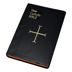 [614/10B] St. Joseph New Catholic Bible (Large Type)