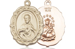 [4146SGF] 14kt Gold Filled Scapular Medal