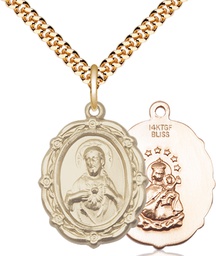 [4146SGF/24G] 14kt Gold Filled Scapular Pendant on a 24 inch Gold Plate Heavy Curb chain