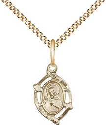 [4153GF/18G] 14kt Gold Filled Scapular Pendant on a 18 inch Gold Plate Light Curb chain