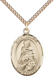 [7024GF/24GF] 14kt Gold Filled Saint Daniel Pendant on a 24 inch Gold Filled Heavy Curb chain