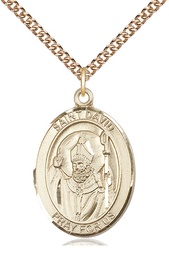 [7027GF/24GF] 14kt Gold Filled Saint David of Wales Pendant on a 24 inch Gold Filled Heavy Curb chain