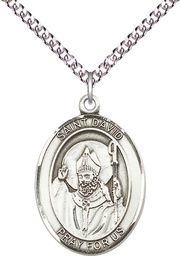 [7027SS/24SS] Sterling Silver Saint David of Wales Pendant on a 24 inch Sterling Silver Heavy Curb chain