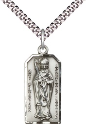 [5914SS/24S] Sterling Silver Saint Patrick Pendant on a 24 inch Light Rhodium Heavy Curb chain