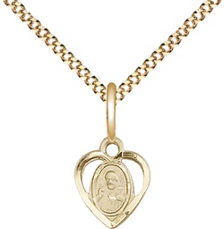 [5402GF/18G] 14kt Gold Filled Scapular Pendant on a 18 inch Gold Plate Light Curb chain