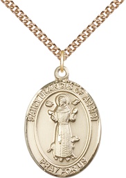 [7036GF/24GF] 14kt Gold Filled Saint Francis of Assisi Pendant on a 24 inch Gold Filled Heavy Curb chain