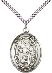 [7050SS/24SS] Sterling Silver Saint James the Greater Pendant on a 24 inch Sterling Silver Heavy Curb chain